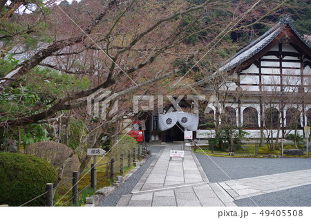 永観堂 禅林寺 永観堂 禅林寺 49405508