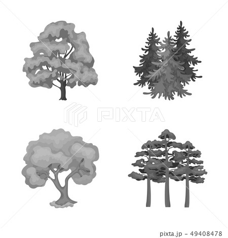 Vector design of tree  and forest sign. Set of tree  and green vector icon for stock. 49408478