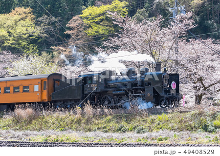 SLと桜 SLと桜 49408529