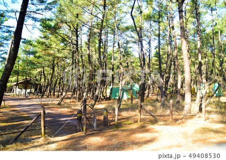 くにの松原キャンプ場 49408530