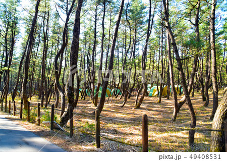 くにの松原キャンプ場 49408531