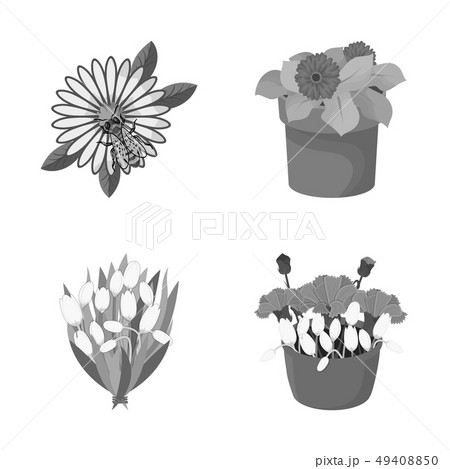 Vector illustration of spring and wreath symbol. Set of spring and blossom stock symbol for web. 49408850