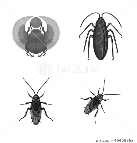 Vector design of insect and beetle icon. Set of insect and halloween vector icon for stock. Vector design of insect and beetle icon. Set of insect and halloween vector icon for stock. 49408868