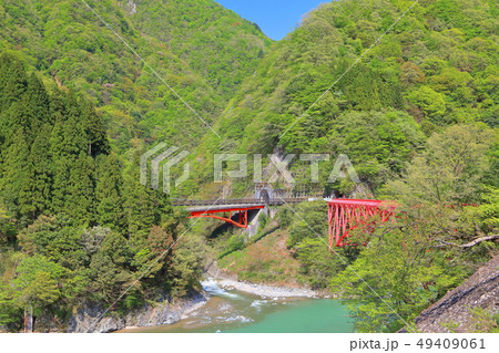 【富山県】深緑の黒部峡谷　新山彦橋 49409061