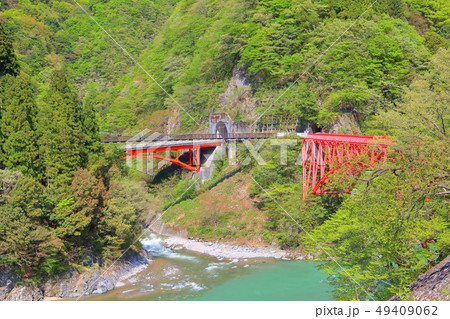 【富山県】深緑の黒部峡谷　新山彦橋 49409062