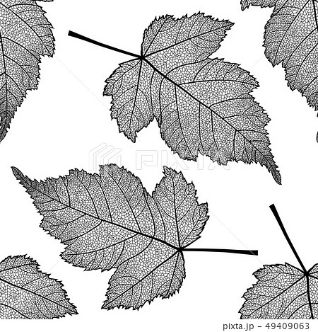 Vector seamless pattern with skeletonized leaves Vector seamless pattern with skeletonized leaves 49409063