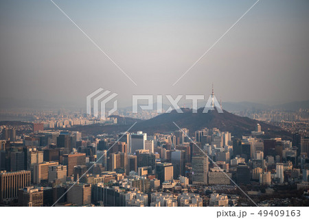 仁王山 夜景 山 49409163