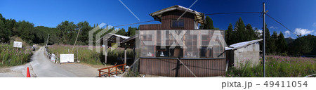 とよのコスモスの里/大阪府豊能郡豊能町 49411054