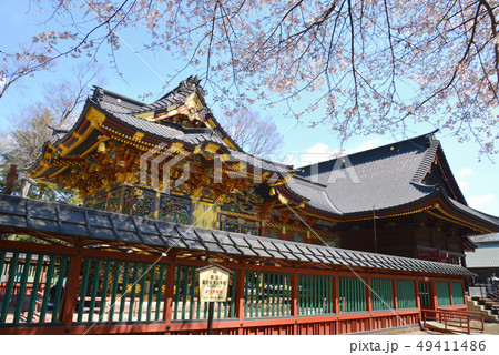 桜咲く　妻沼聖天山 49411486