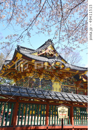 桜咲く　妻沼聖天山 49411515