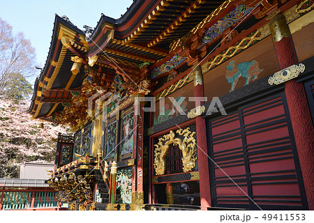 桜咲く　妻沼聖天山 49411553