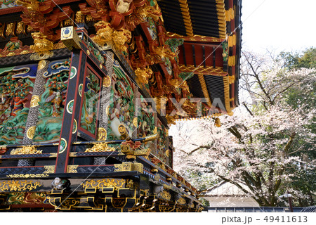 桜咲く　妻沼聖天山 49411613