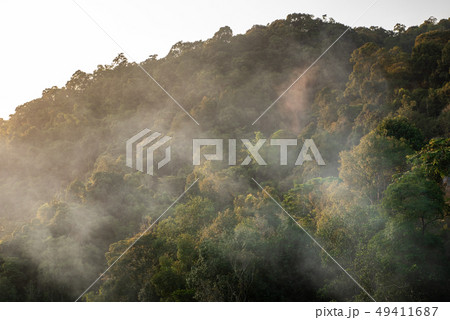 Beautiful small waterfall in rain forest Beautiful small waterfall in rain forest 49411687