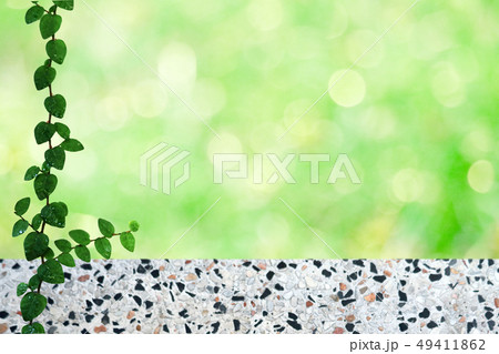 green leaves of Mexican daisy nature border and green leaves of Mexican daisy nature border and 49411862