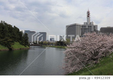 春の桜田濠の風景 春の桜田濠の風景 49412309