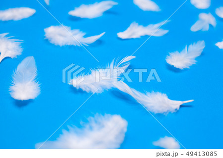 White feathers on a blue background 49413085