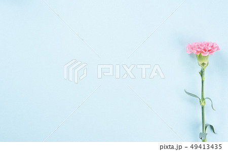 花 フラワー お花 49413435