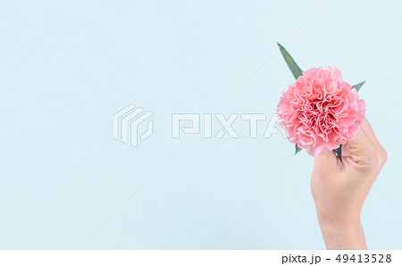花 フラワー お花 49413528