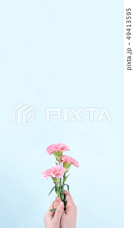 花 フラワー お花 49413595