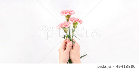 花 フラワー お花 49413886