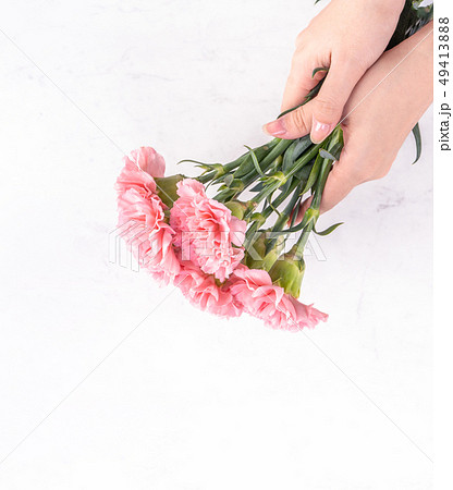 花 フラワー お花 49413888