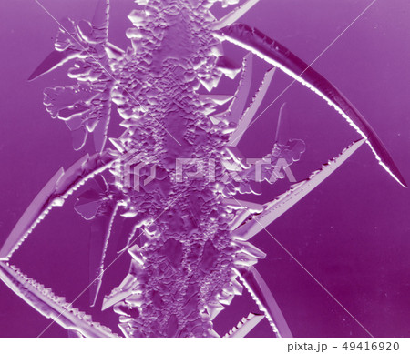 Purple patterns on the glass in the frost 49416920