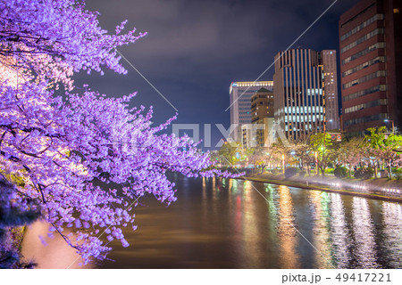 福岡 九州 舞鶴公園 さくら 福岡 九州 舞鶴公園 さくら 49417221