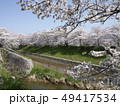 佐保川沿いの桜 佐保川沿いの桜 49417534