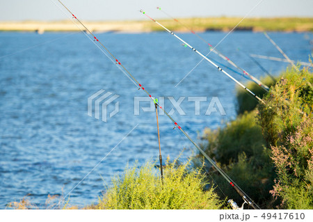 Fishing rods on the shore of the lake Fishing rods on the shore of the lake 49417610