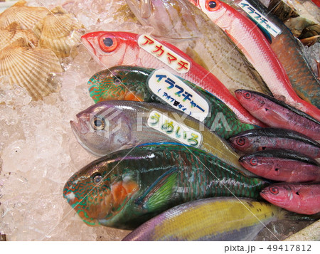 Okinawa 沖縄 市場 鮮魚 Okinawa 沖縄 市場 鮮魚 49417812
