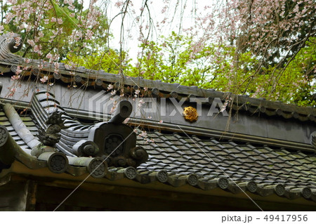お寺の瓦屋根 お寺の瓦屋根 49417956