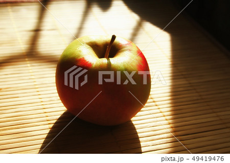 red green Apple in the Golden rays of the sun 49419476