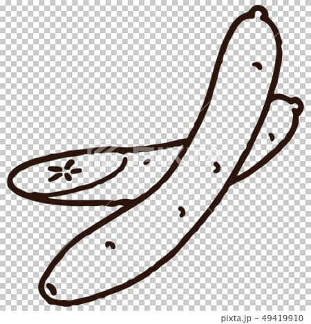 手描き風 きゅうりのイラスト素材