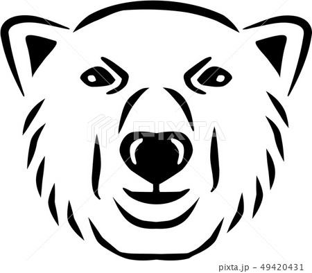 Polar bear head 49420431