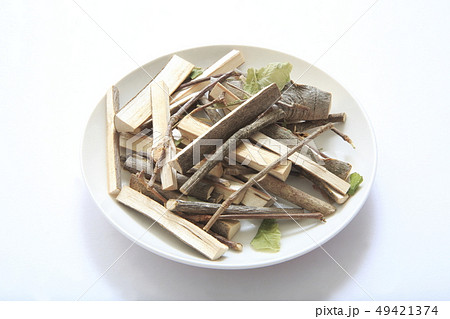 目薬の木 目薬の木 49421374