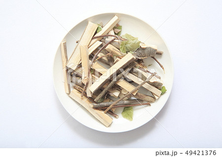 目薬の木 49421376