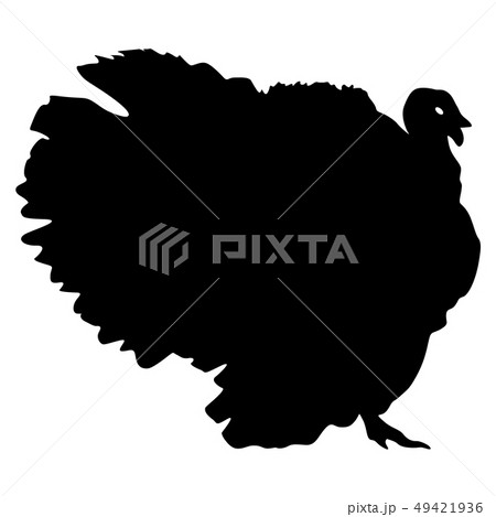 Silhouette black turkey on a white background Silhouette black turkey on a white background 49421936
