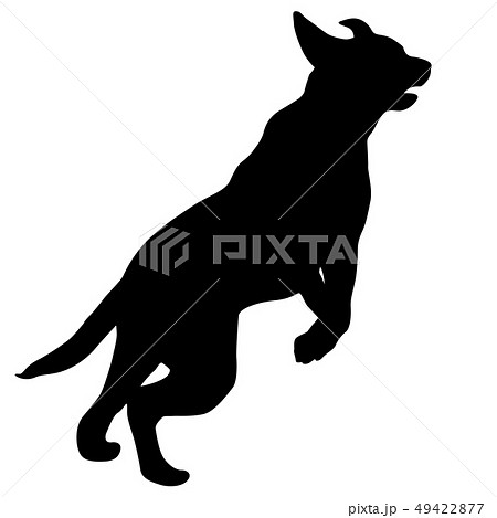 Labrador dog silhouette on a white background Labrador dog silhouette on a white background 49422877