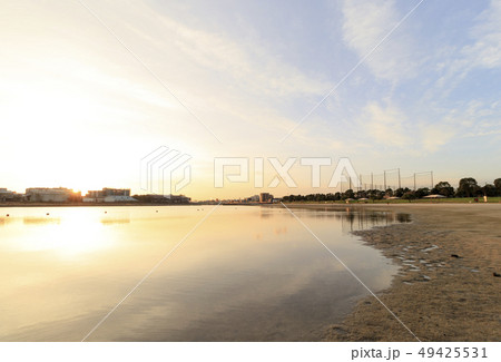大森ふるさとの浜辺公園 大森ふるさとの浜辺公園 49425531