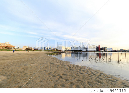 大森ふるさとの浜辺公園 大森ふるさとの浜辺公園 49425536