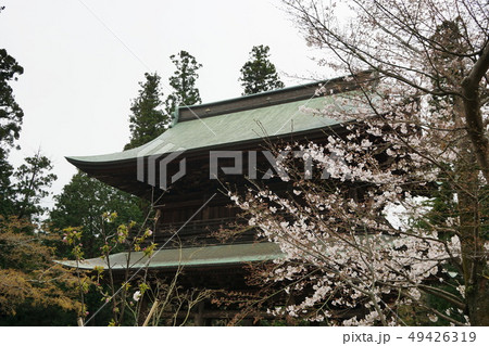 鎌倉市 円覚寺　 Kamakura Engaku-ji temple 49426319