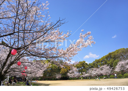 大牟田市延命公園 大牟田市延命公園 49426753