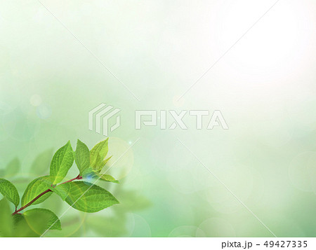 背景 新緑 グリーン 春 夏 日差しのイラスト素材