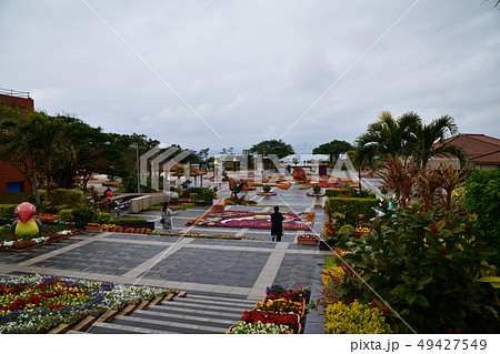沖縄美ら海水族館より 沖縄美ら海水族館より 49427549