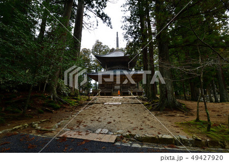 高野山より 高野山より 49427920