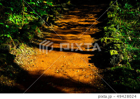 風景 写真 背景 49428024