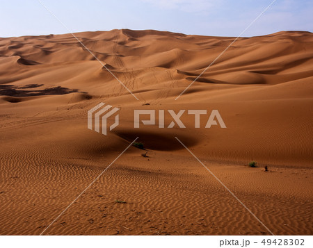 新疆ウイグル自治区・クムタグ砂漠 / Kumutage Desert, Xinjiang,China 新疆ウイグル自治区・クムタグ砂漠 / Kumutage Desert, Xinjiang,China 49428302