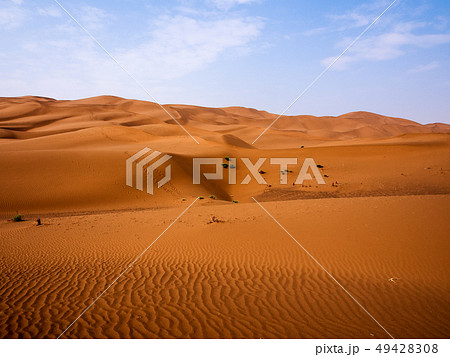 新疆ウイグル自治区・クムタグ砂漠 / Kumutage Desert, Xinjiang,China 49428308