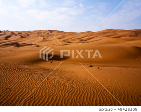 新疆ウイグル自治区・クムタグ砂漠 / Kumtag Desert, Xinjiang,China 49428309