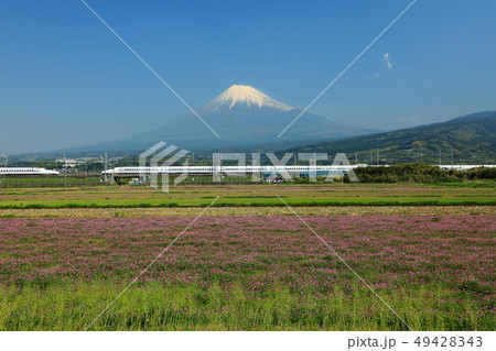 世界遺産 富士山 新幹線 静岡 富士市 世界遺産 富士山 新幹線 静岡 富士市 49428343